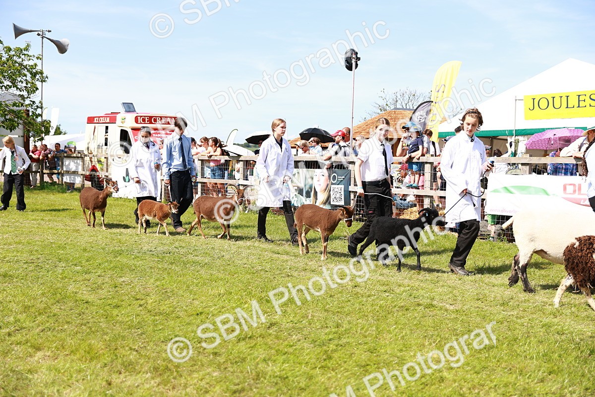 SBM_08309 - Grand Parade