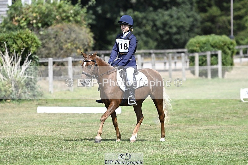 250821A-120741-15450 - DR 11.00 to 12.00