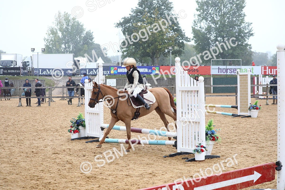 SBM_71738 - J4 - Mini Tour Junior Pony 45cm Championship