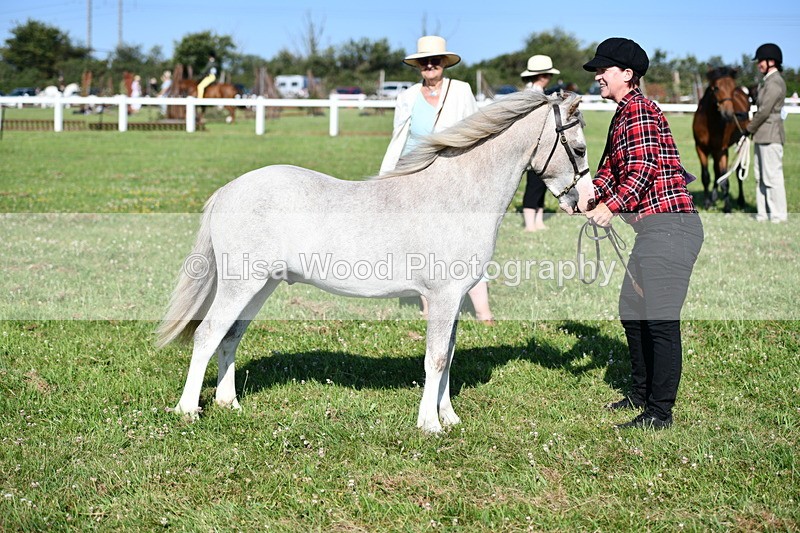 DSC_5832 - Class 50: NPS M&M Yearling