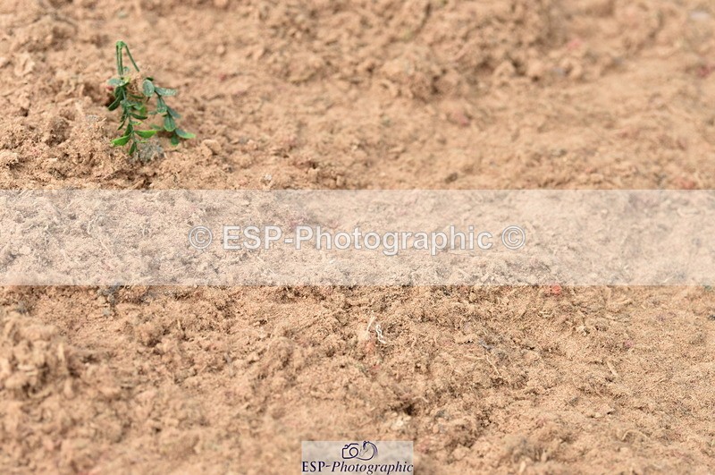 230810A-095656-00174 - Cls 8 British Novice & 90cm Open