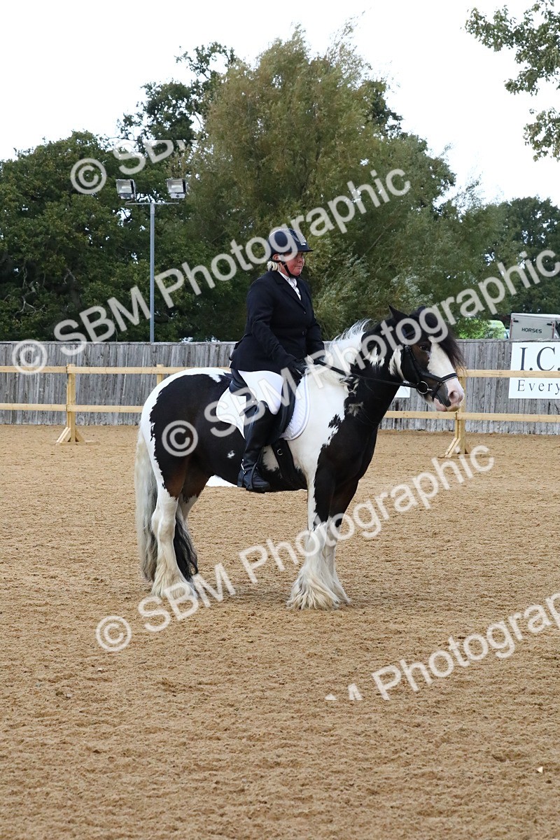 SBM_21043 - D5 - Small Tour Championshop Intro 2