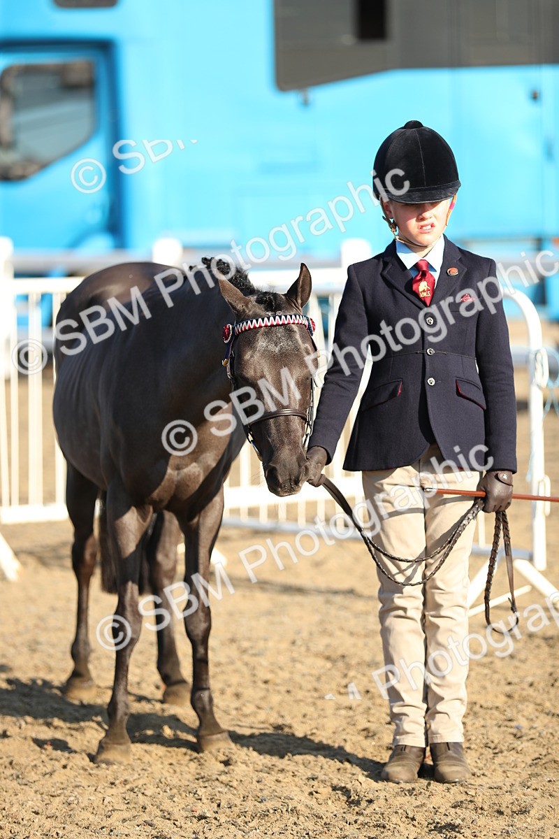 SBM_00001 - Class 40 Best Turned Out IH