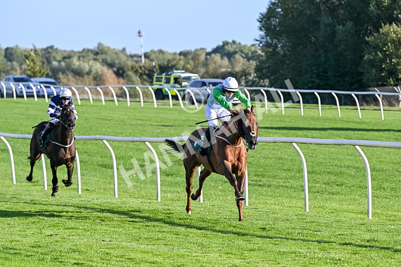 080926-Race 8-Zimmerman-3504 - Race 8 5.51pm Racing Again 30th September Amateur Jockeys' Handicap