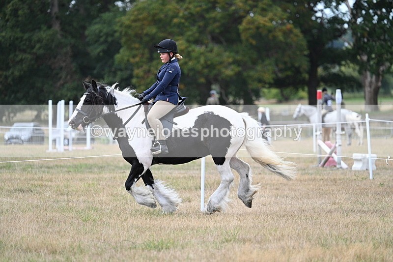 WJ7_5115 - Class 12 Ridden Cob