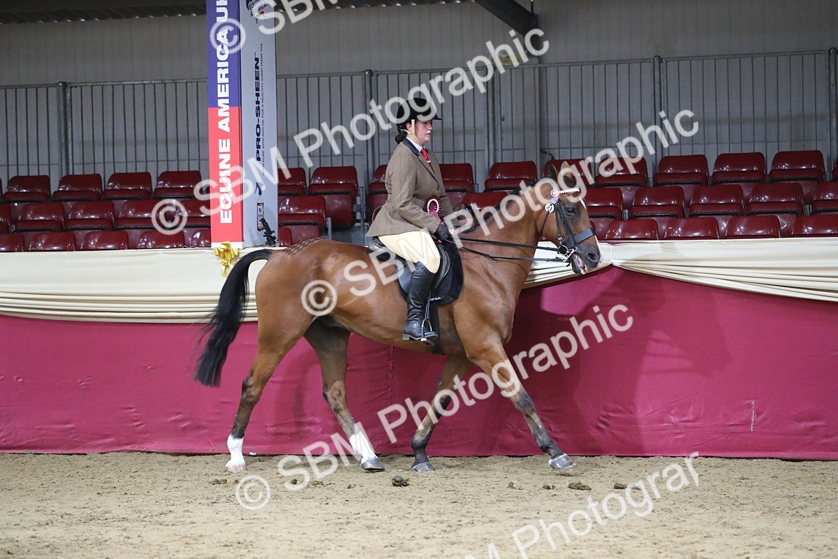 SBM_08503 - Class 11R Regional Ridden Veteran