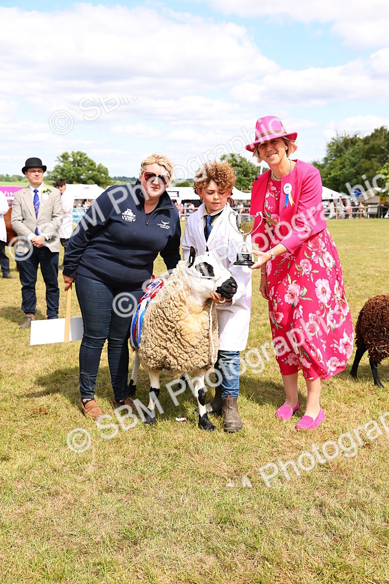 SBM_16992 - Grand Parade
