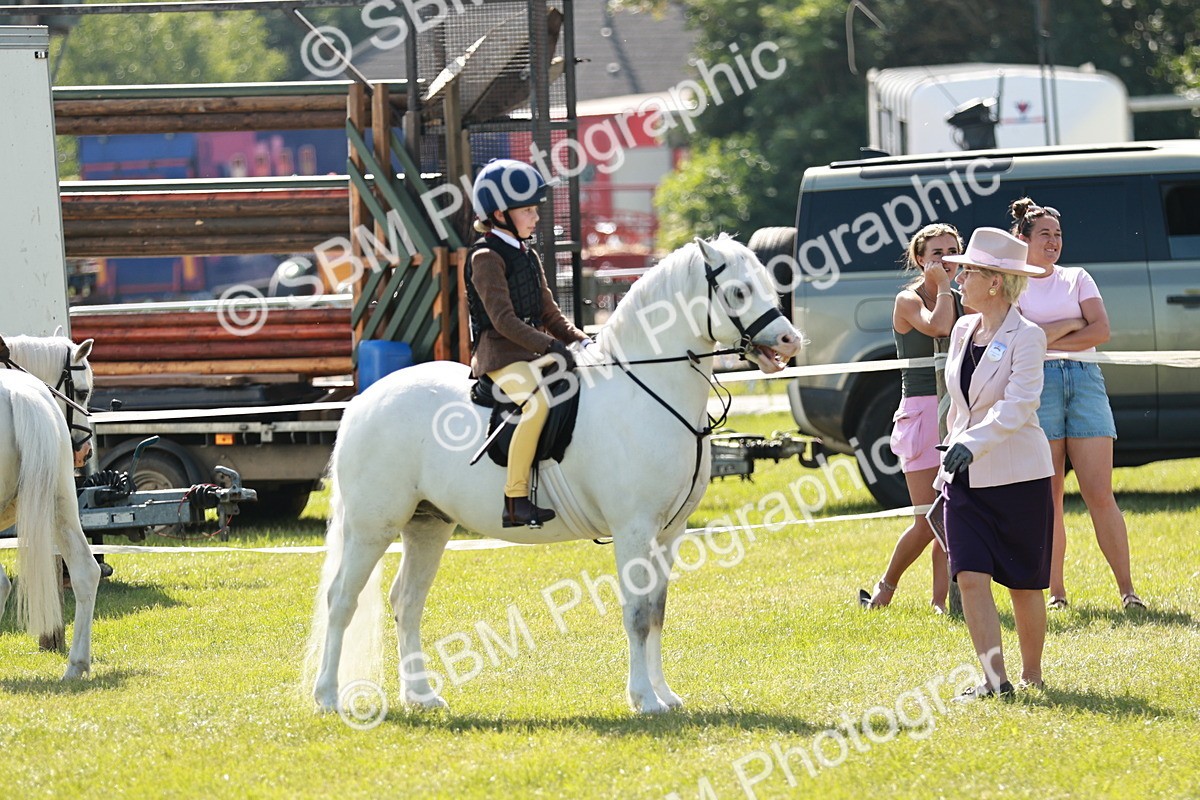 SBM_12630 - Class 106-107 - BSPS LIHS Working Sports Pony
