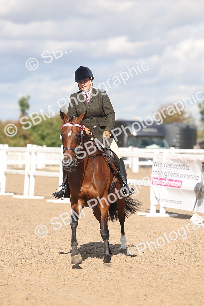 SBM_13179 - Class 306 - Ridden Foreign Breds - Part Bred