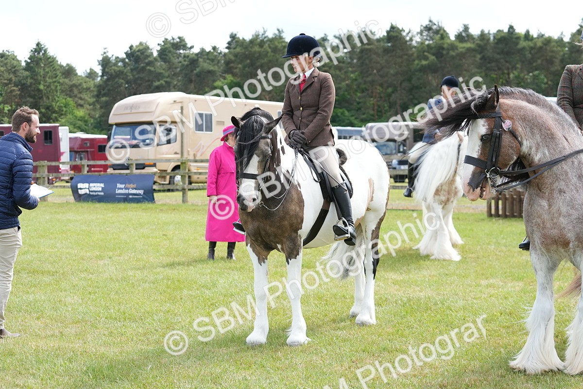 SBM_17309 - Class 107-108 - LIHS BSPS Performance Coloured Horse Pony