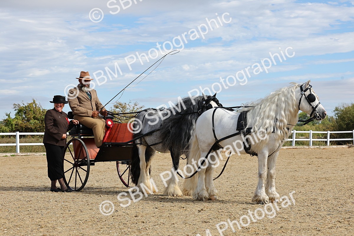 SBM_001251 - Class 16 - Pairs ,Multiples and Tandems