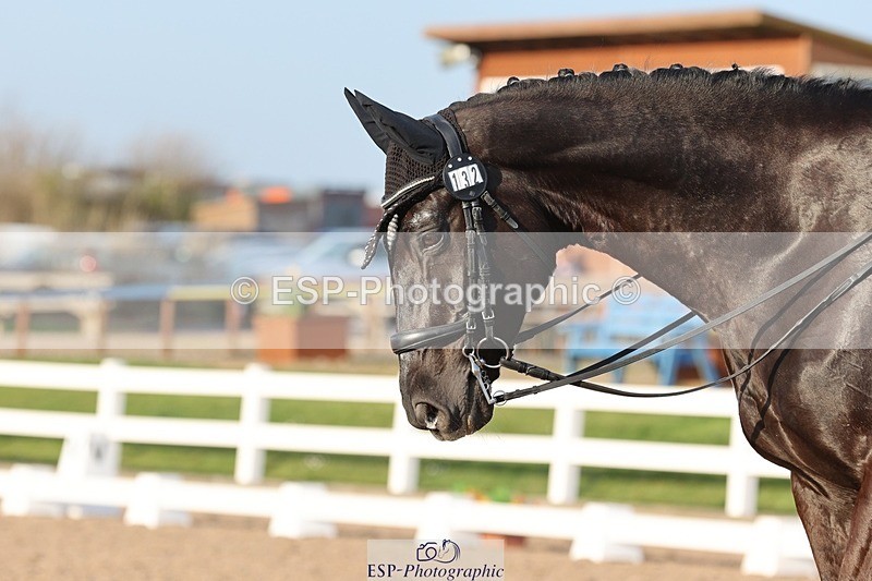 250404-181701-08260 - 132-Marie-Ayesha.Barilits-Gupta-Rob.Roy.II