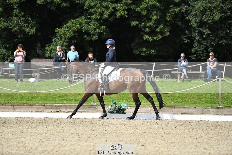 230812-110818-03546 - Cls 6 Novice Silver 10.30 to 11.55 break