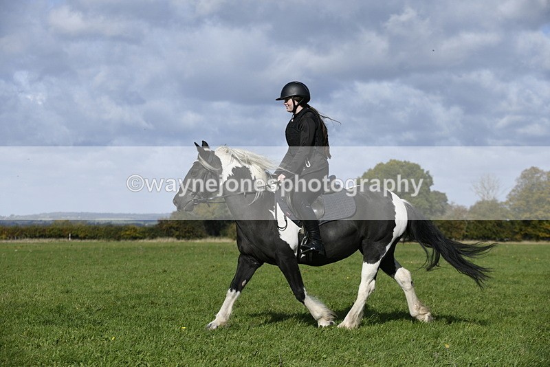 _DSC6649 - Time 11:23 to 12:05