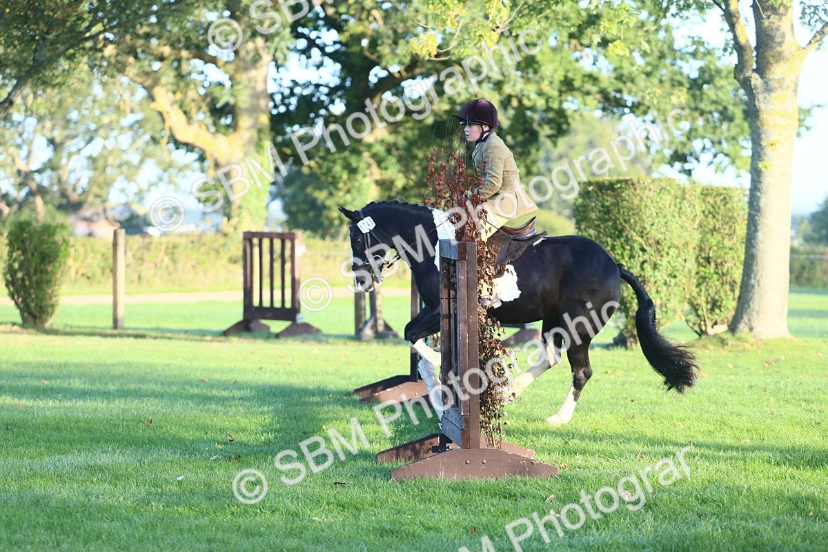 SBM_37181 - S29 - Novice & Newcomers Working Hunter Pony