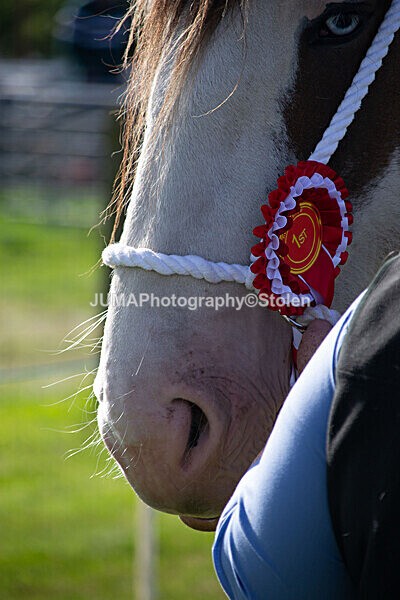 DSC_0077 - Ring 1