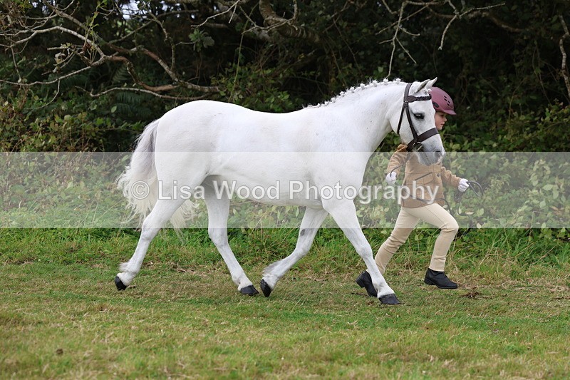 3E7A4550 - Class 16: Best Grass Kept