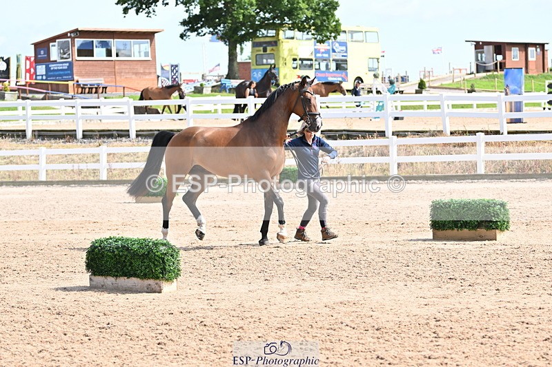 240717A-155739-03215 - Trot Up 3pm to 4pm