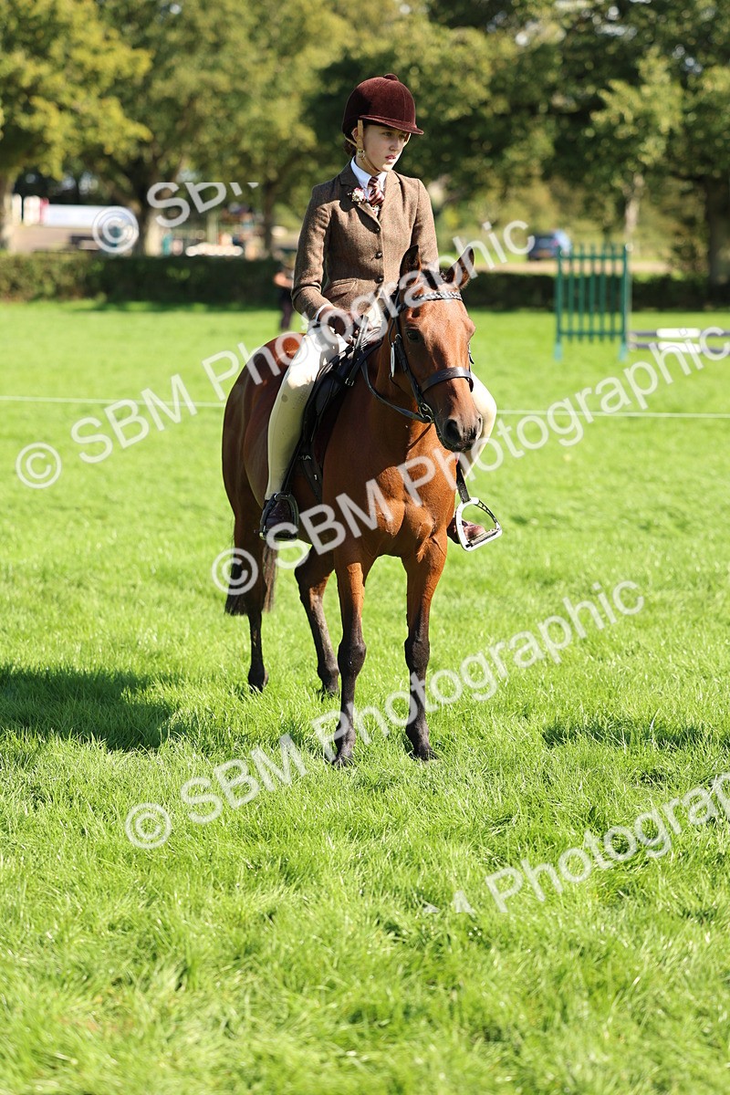 SBM_45438 - S33 - Working Hunter Pony
