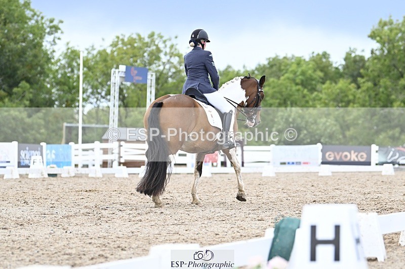 250907-164519-10753 - 112-Mel.DayDolderwydd.lucky.Maisie