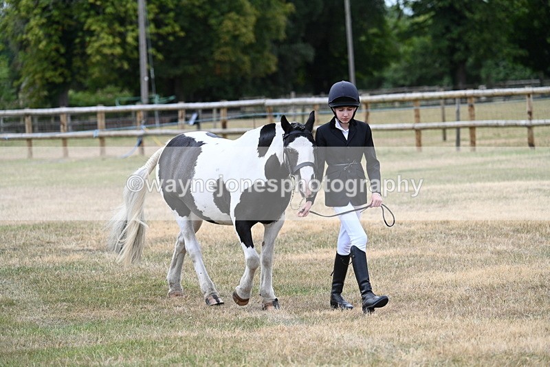 WJ7_1473 - Class 4 Prettiest Mare up to 14.2hh in hand