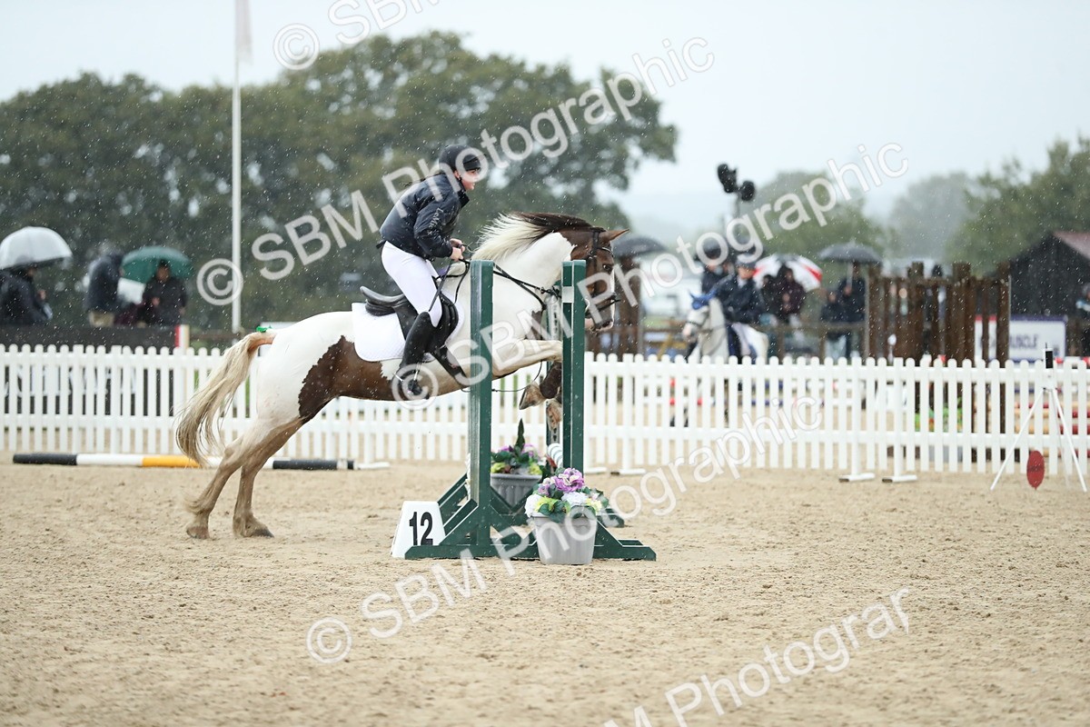 SBM_37126 - J20 - Junior Horse 50cm Championship