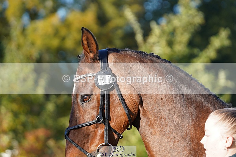 241026-100124-11548 - 008-Charlie.Piper-ZADOK.D