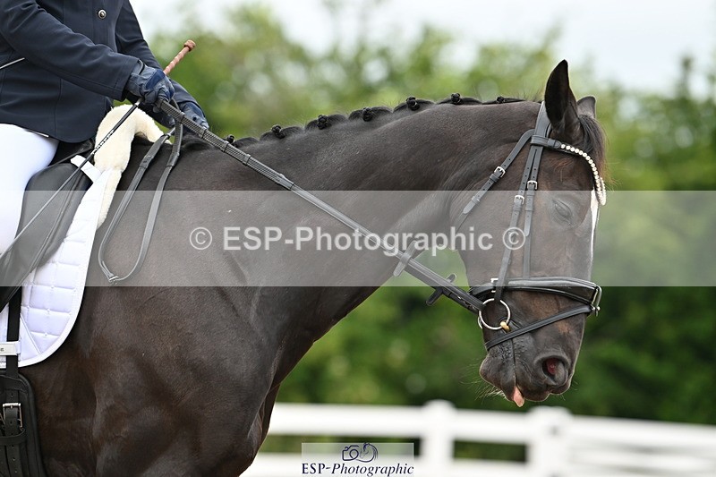 240623A-115542-17617 - Cls 48 BD Novice 37A