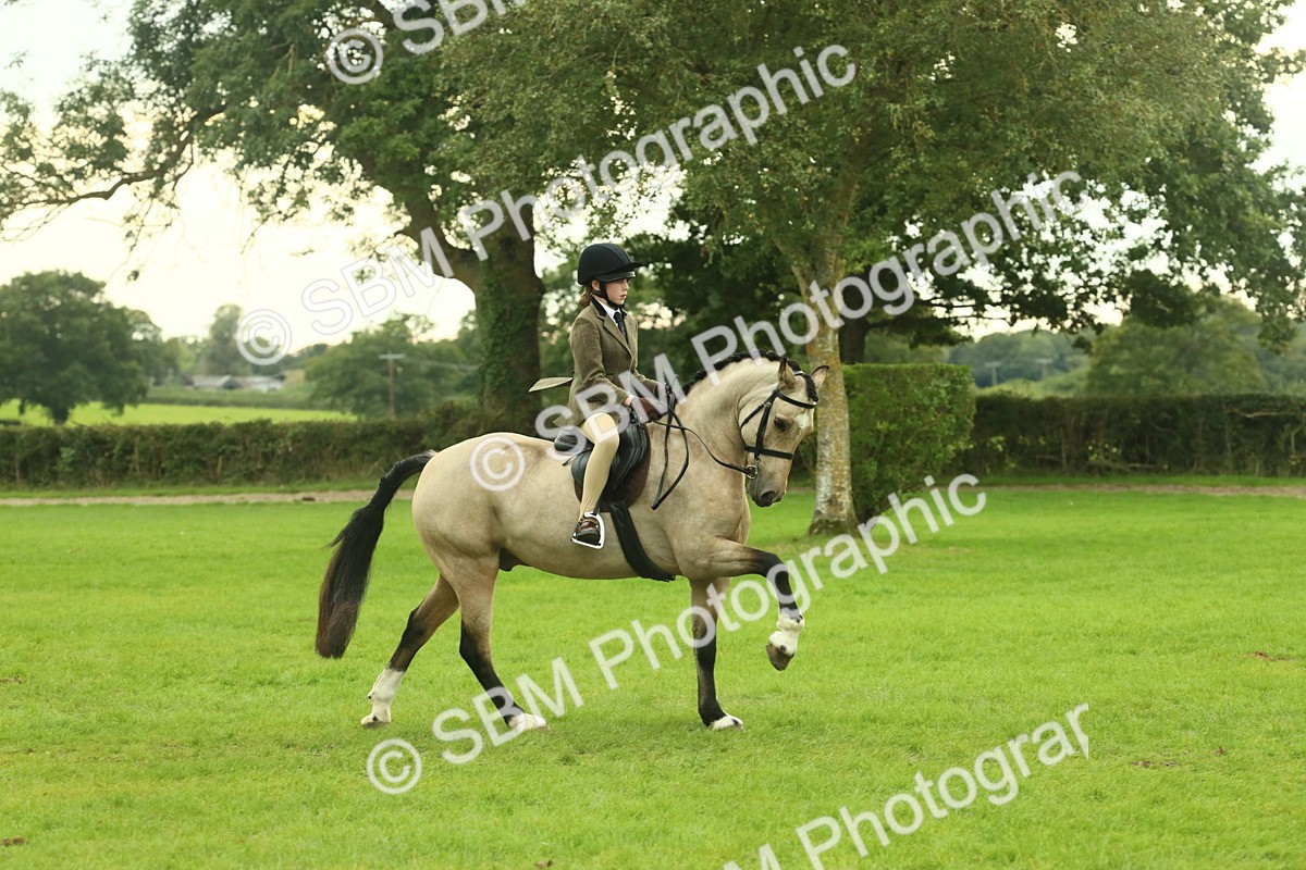 SBM_73934 - S 61 - Show Pony & Show Hunter Pony Ridden