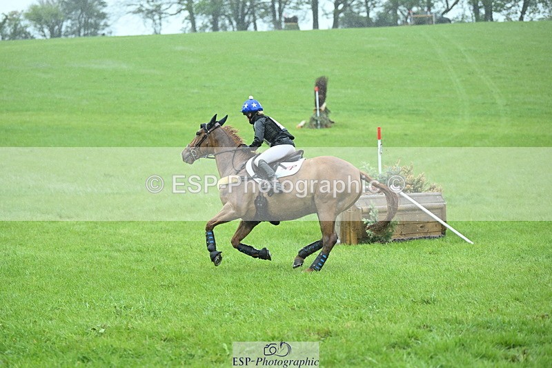 250418-131836-04415 - 205-Millie.Stoneman-V8.CHESTER