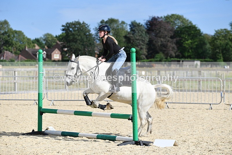 WJ5_5845 - Poles off the floor