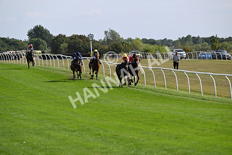 260826-Race 3-Battenburg Belle-2599 - Race 3 15:15 Happy 50th Birthday Victoria Melling Handicap