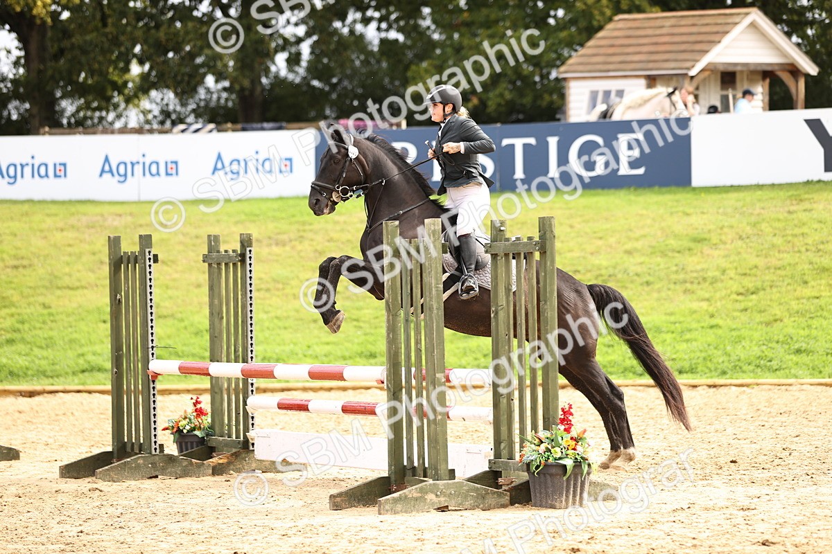 SBM_41046 - J40 Senior Horse & Pony 90cm Supreme Championship