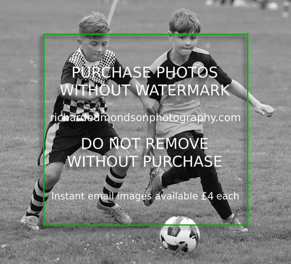 533A89171 - Trimpell