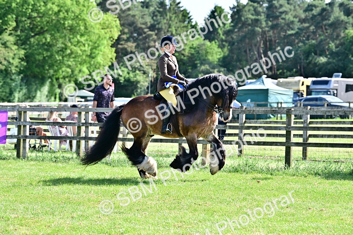SBM_09453 - Class 63-65 - Traditional Gypsy Cobs In Hand & Ridden