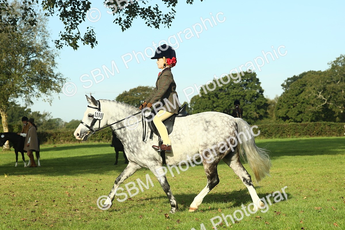SBM_59217 - S38 - Starters Ridden Showing