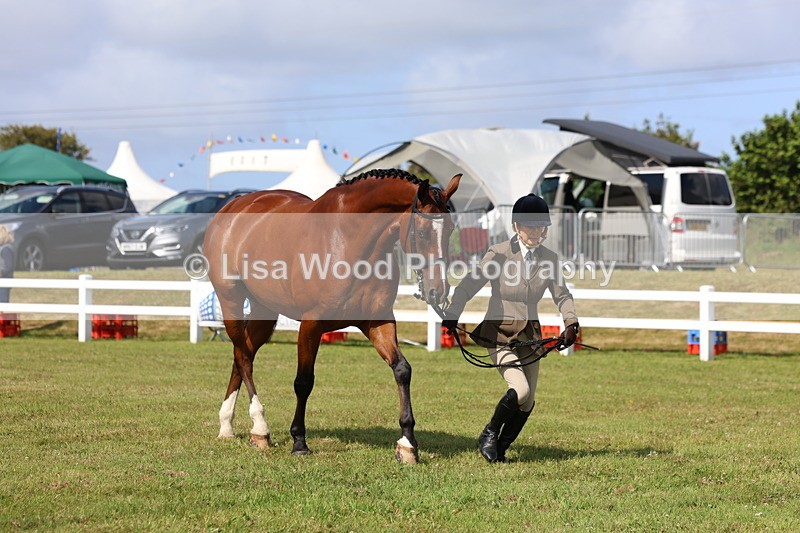 3E7A9563 - Class 4: Rising Star M/H Hunter