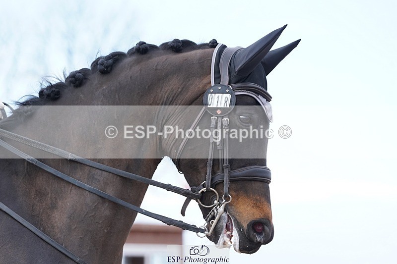 250403-104000-00775 - 018-Louise.Davison-Quamperfect