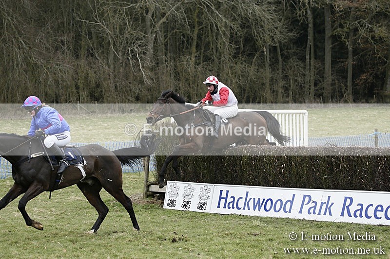 PtP 110318 169 - Hampshire Hunt Point-to-Point Hackwood Park 11/03/18