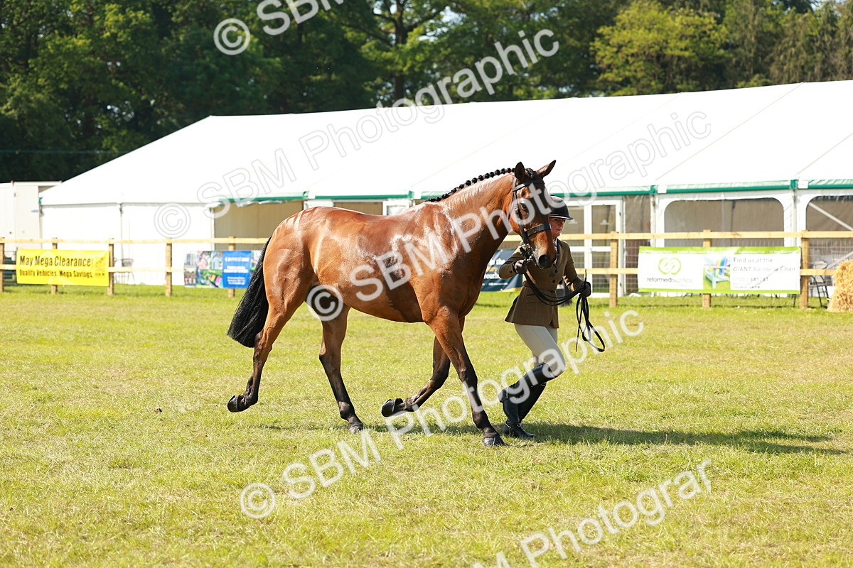 SBM_12065 - Class 66-69 - RIHS Ridden Hunters Inc Small Hunter