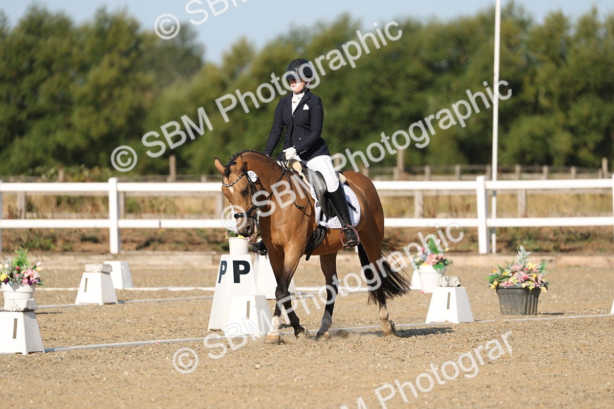 SBM_012608 - Class 1 - P5 Bronze 9.00.10.12