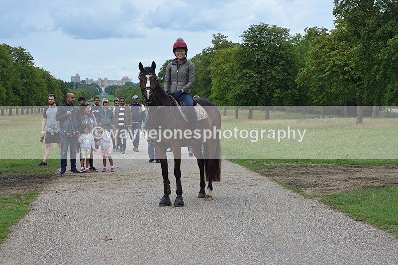 TT3_0103 - Time at Crossing 13:17 to 14:48