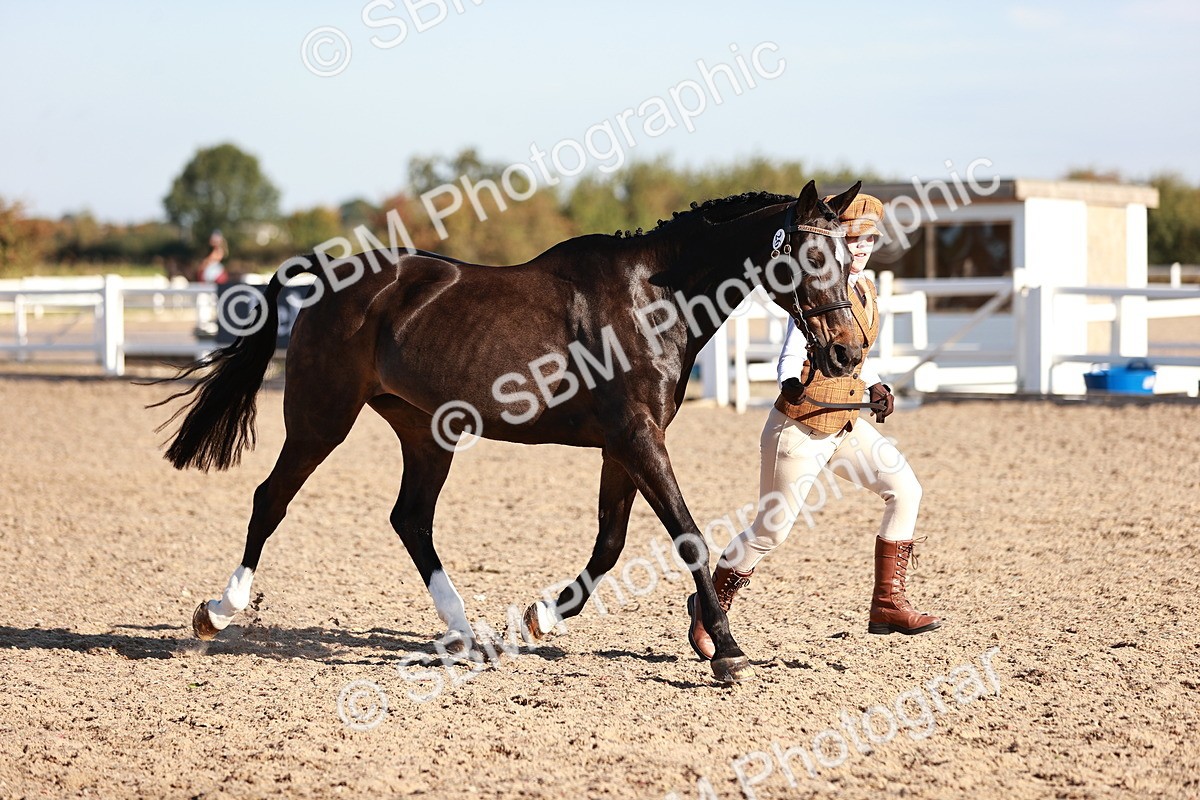 SBM_11409 - Class 402 - IH  Veteran pony