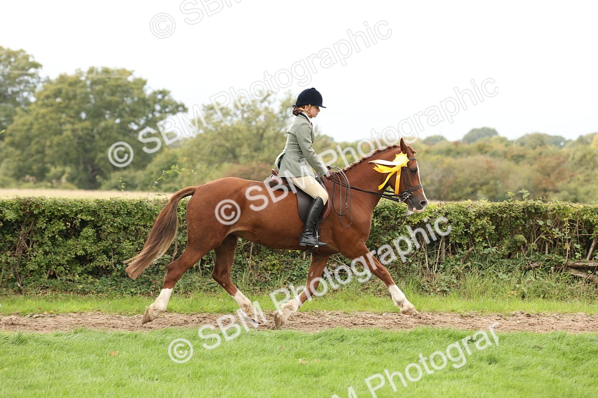 SBM_66432 - S66 - Hunter Ridden