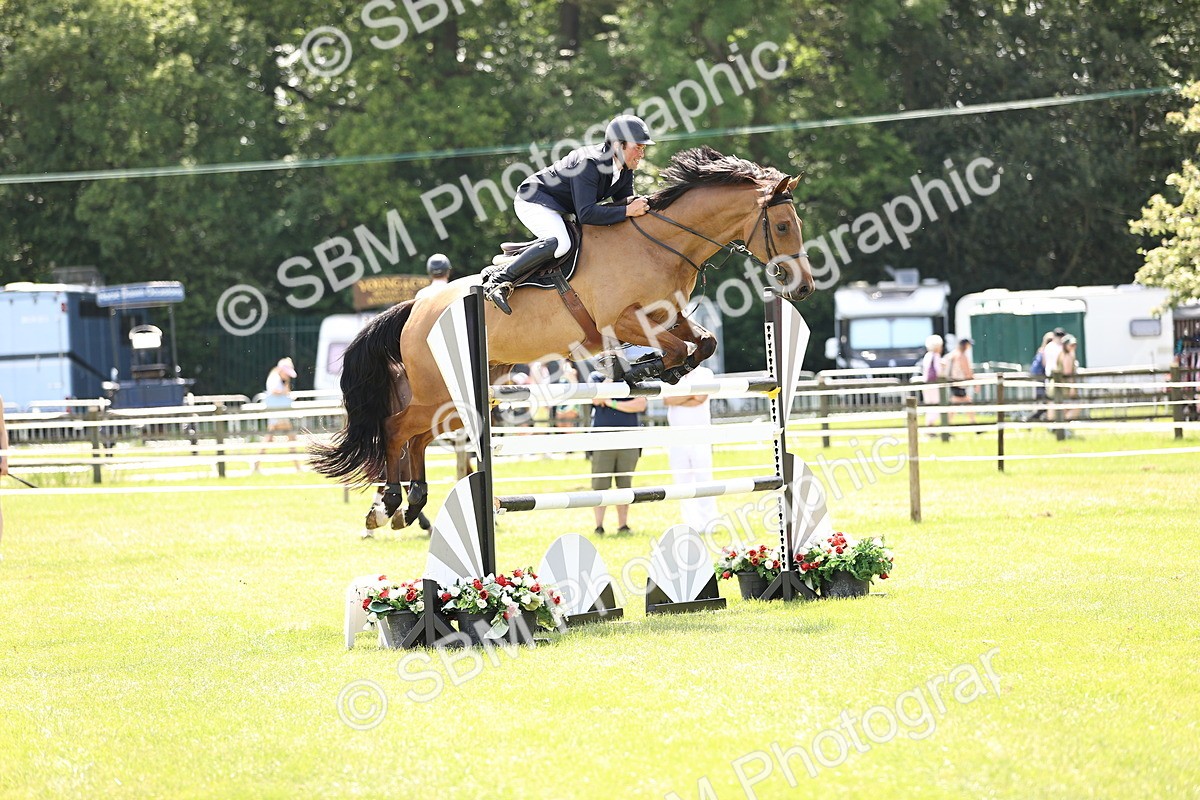 SBM_04021 - Class 201 - British Horse Feedds Speedi Beet HOYS Grade C