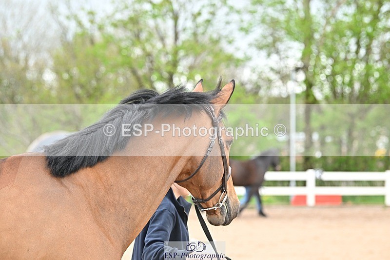 250423-124610-00365 - 12 to 1pm