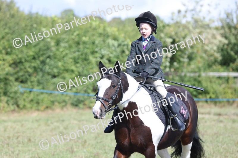 20250831-2488 - Class 16 - Family Pony