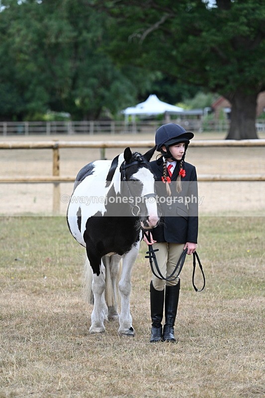 WJ7_8189 - Class 4 Prettiest Mare up to 14.2hh