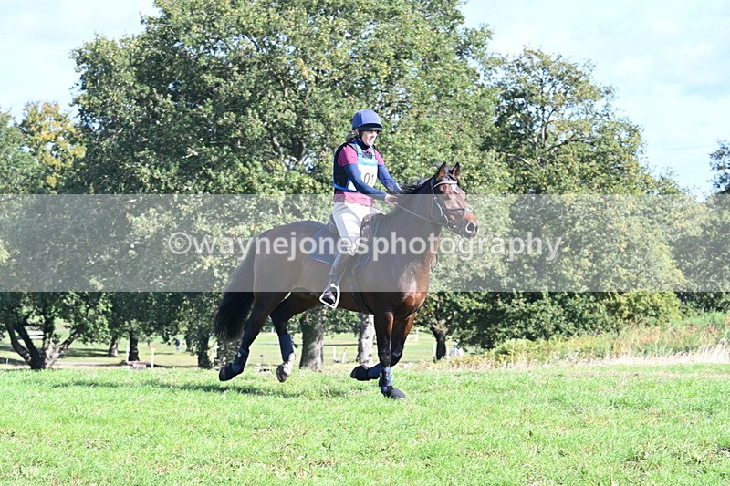 WJ7_9547 - Time 10:47 to 11:01