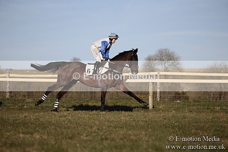PtP 240218 643 - Vine & Craven Hunt Point-to-Point Barbury racecourse 24/02/18